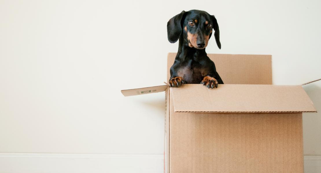 How to Plan Your Relocation