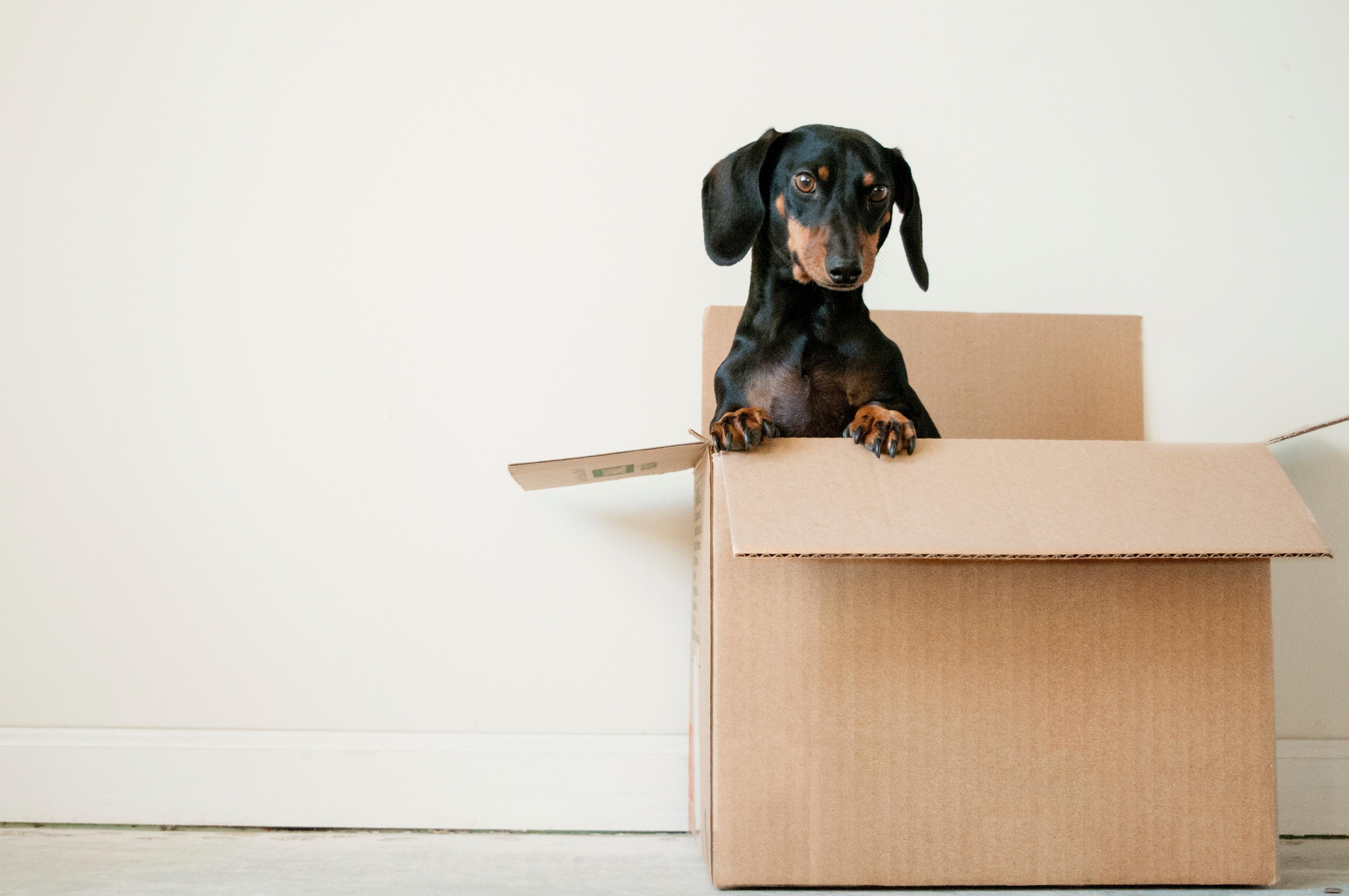 How to Plan Your Relocation